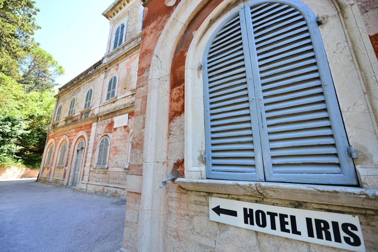 Iris Hotel